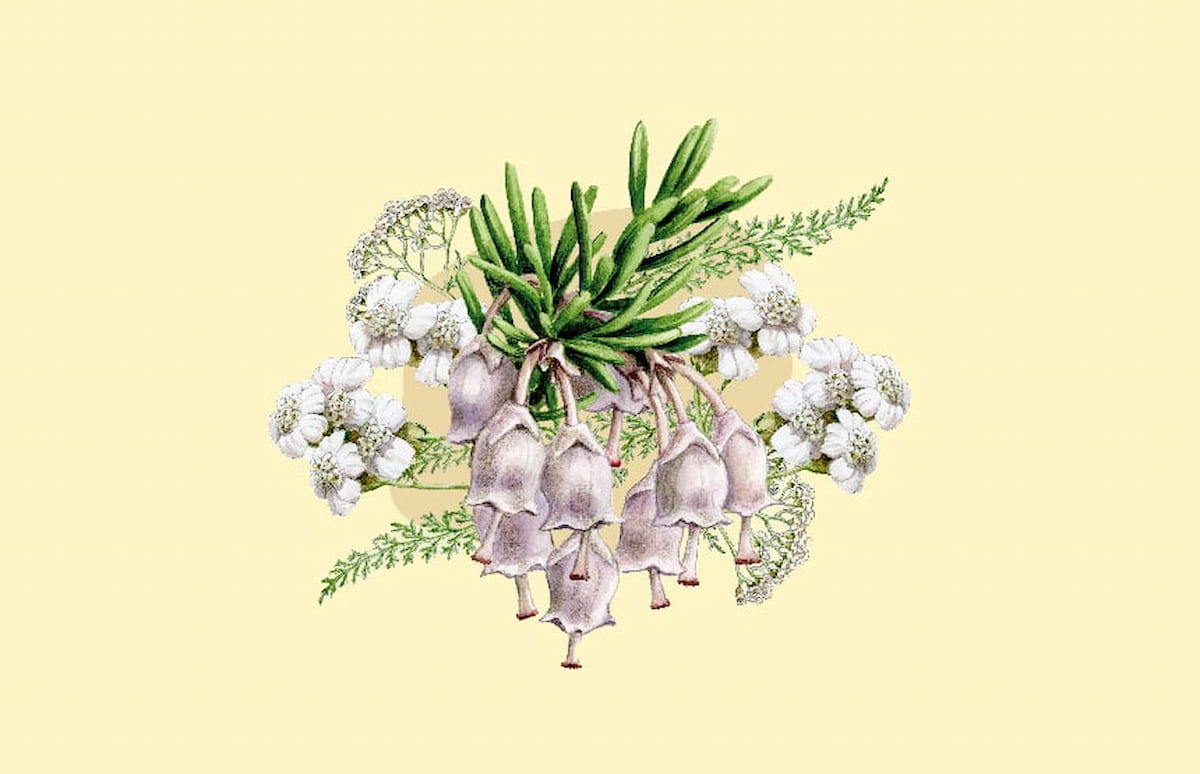 Actividades para toda la familia en CaixaForum València