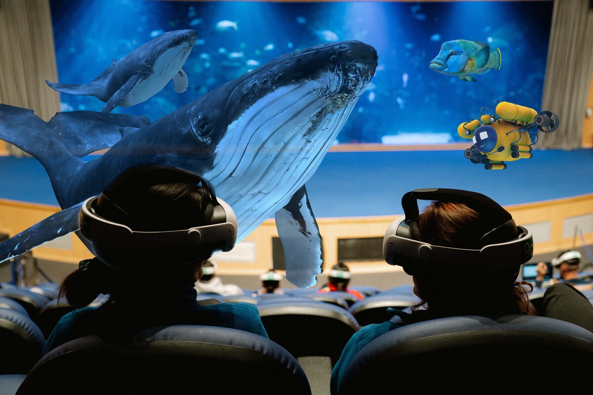 Experiencia inmersiva oceanografic