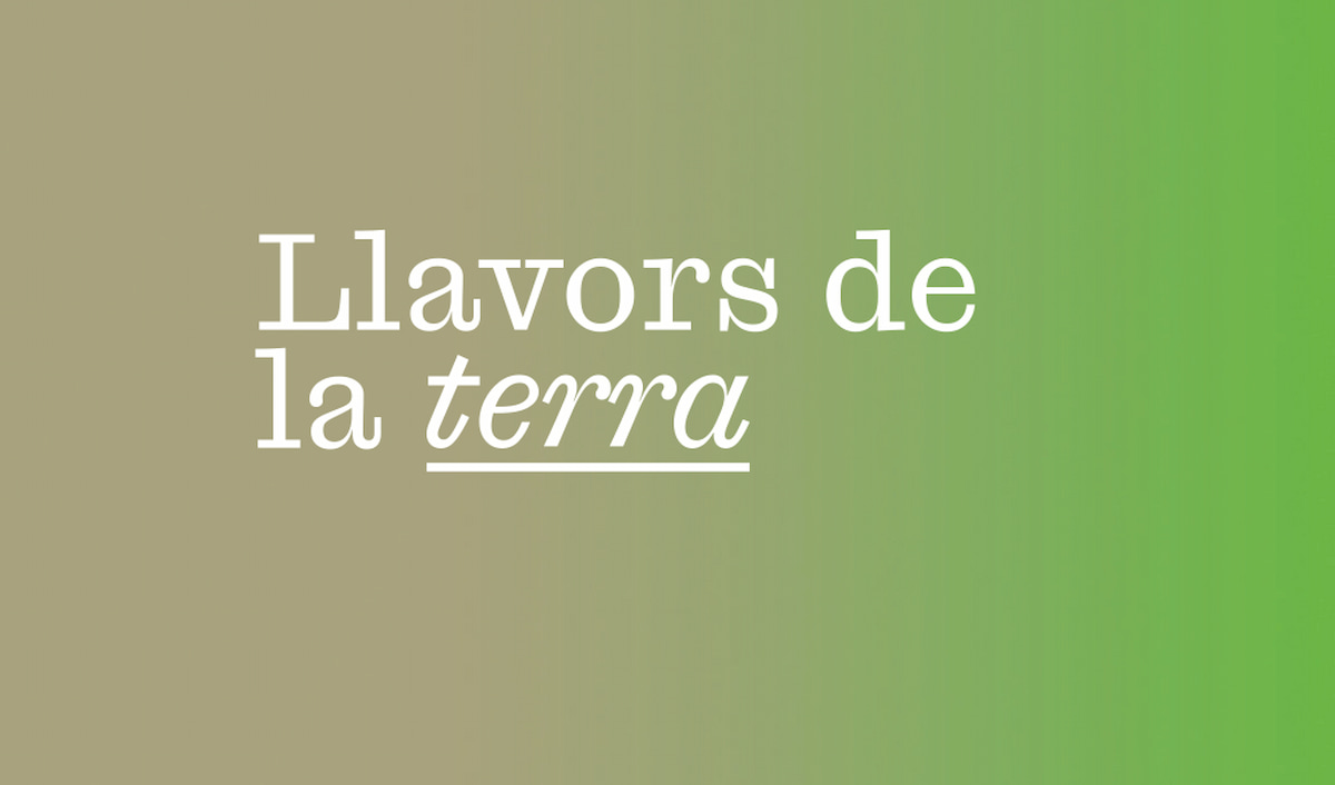 Concierto «Llavors de la Terra» en València 