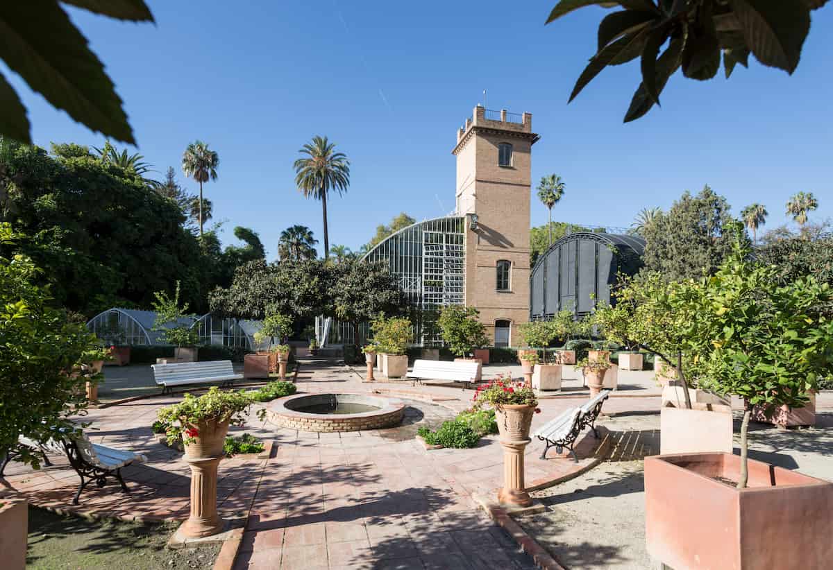 Ciclo «VoluntariJazz» en el Jardín Botánico de València