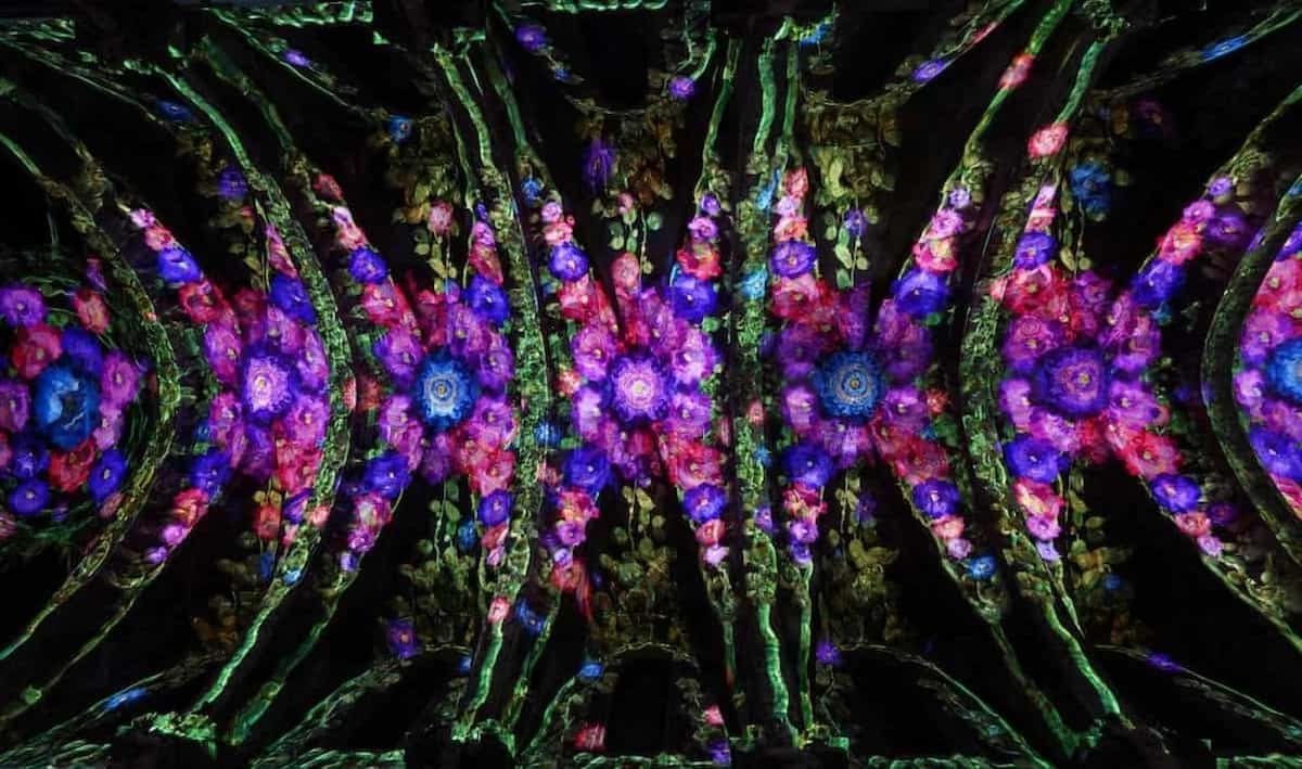 Exposiciones inmersivas que no te puedes perder este otoño en València