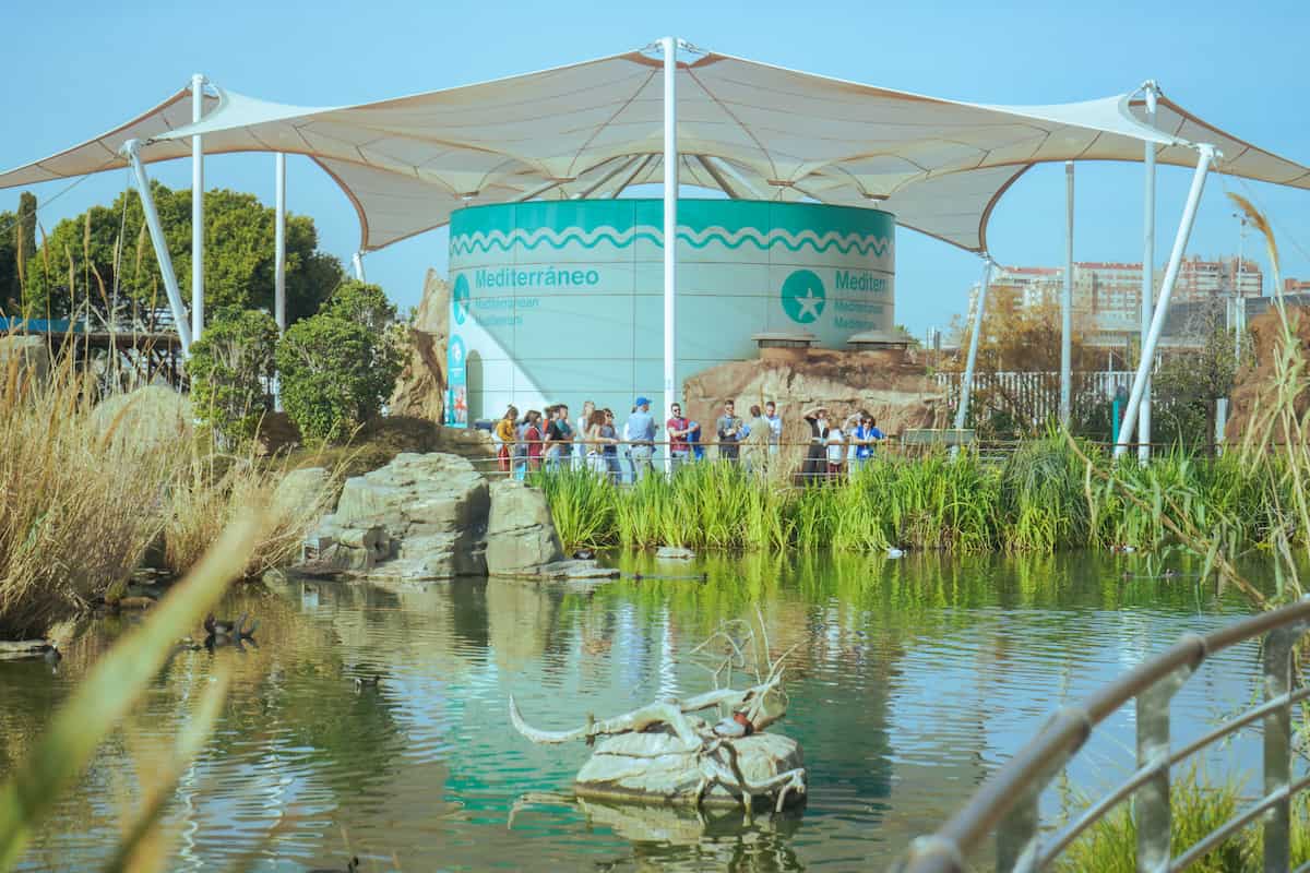 «Lago Vivo» en el Oceanogràfic de València  