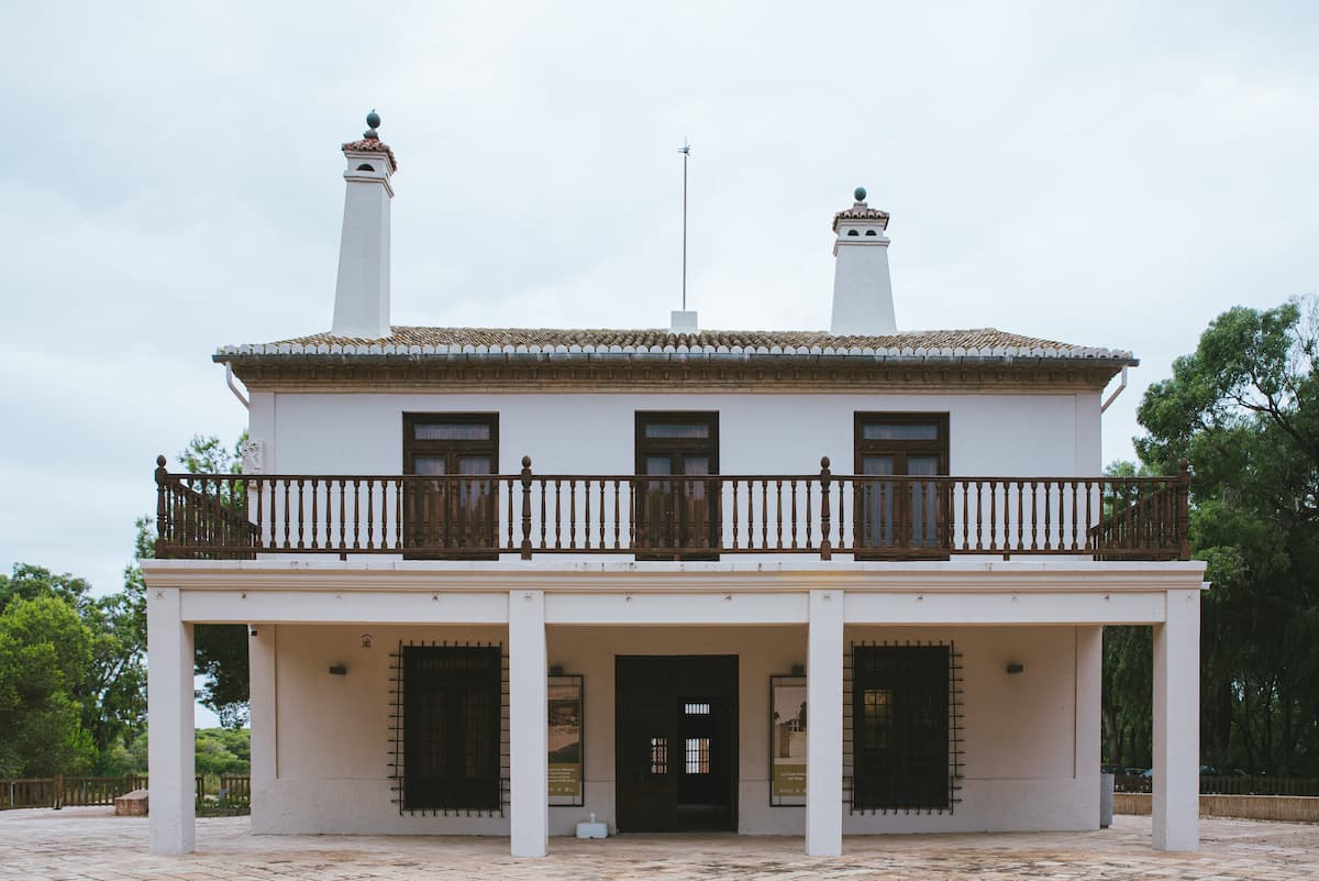 Actividades gratis por Navidad en la Devesa-Albufera 