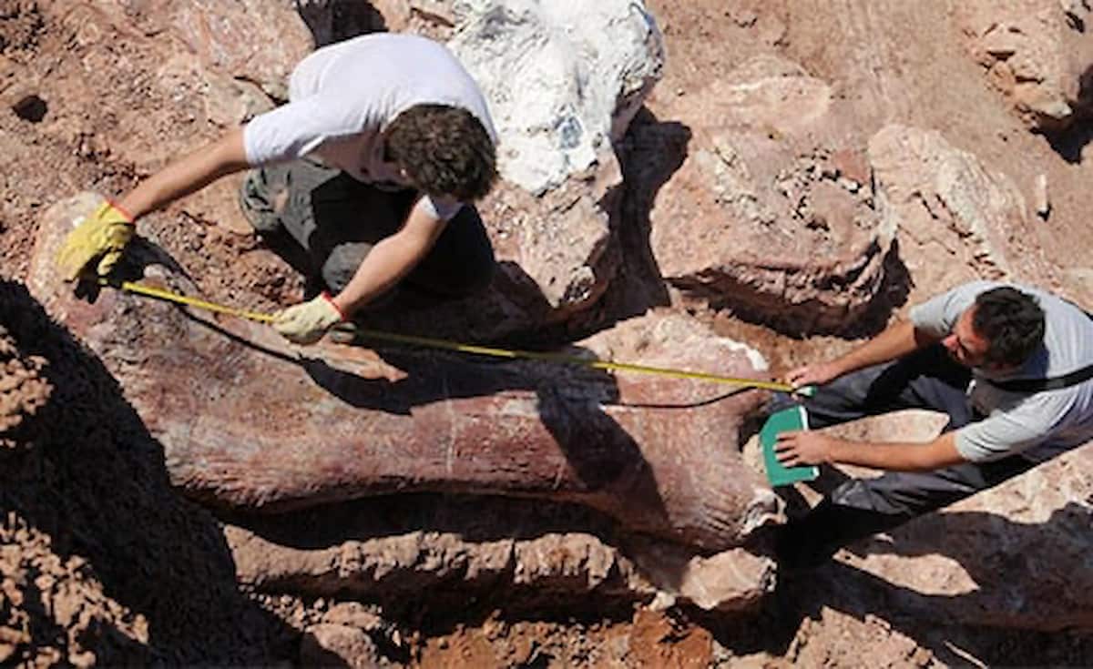 Exposición «Dinosaurios de la Patagonia» en València