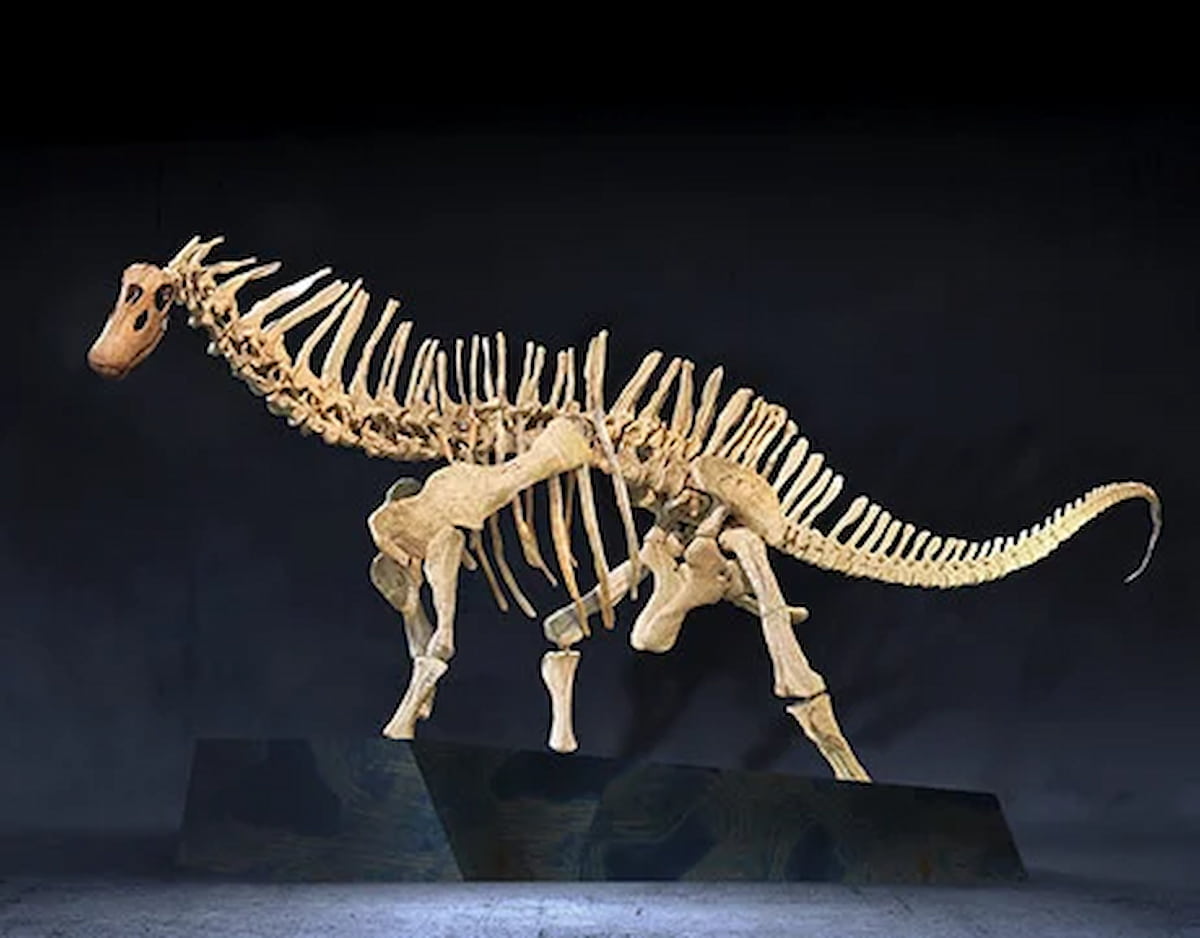 Exposición «Dinosaurios de la Patagonia» en València