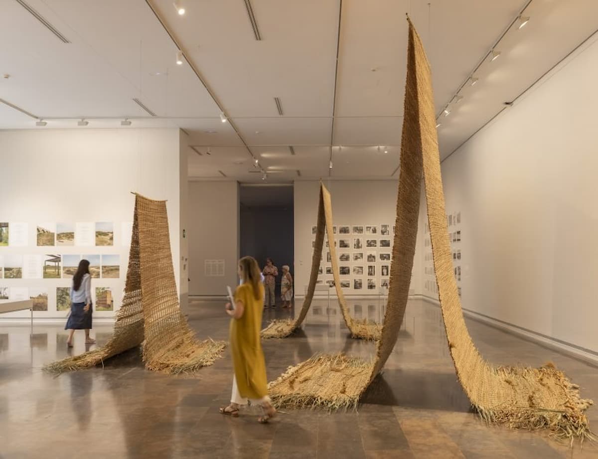 Exposición «La Albufera» en València