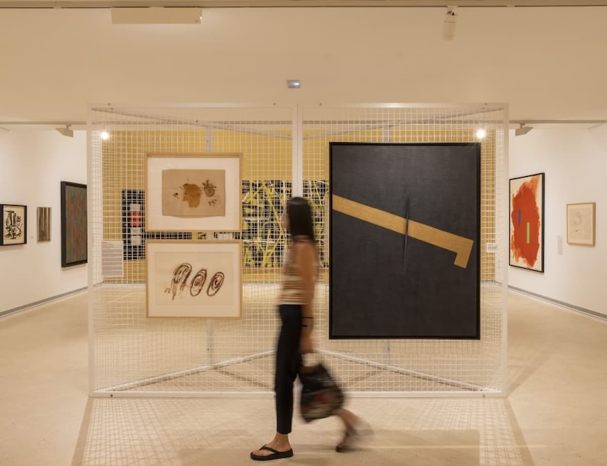 Exposición «La Colección del IVAM hasta hoy» en València
