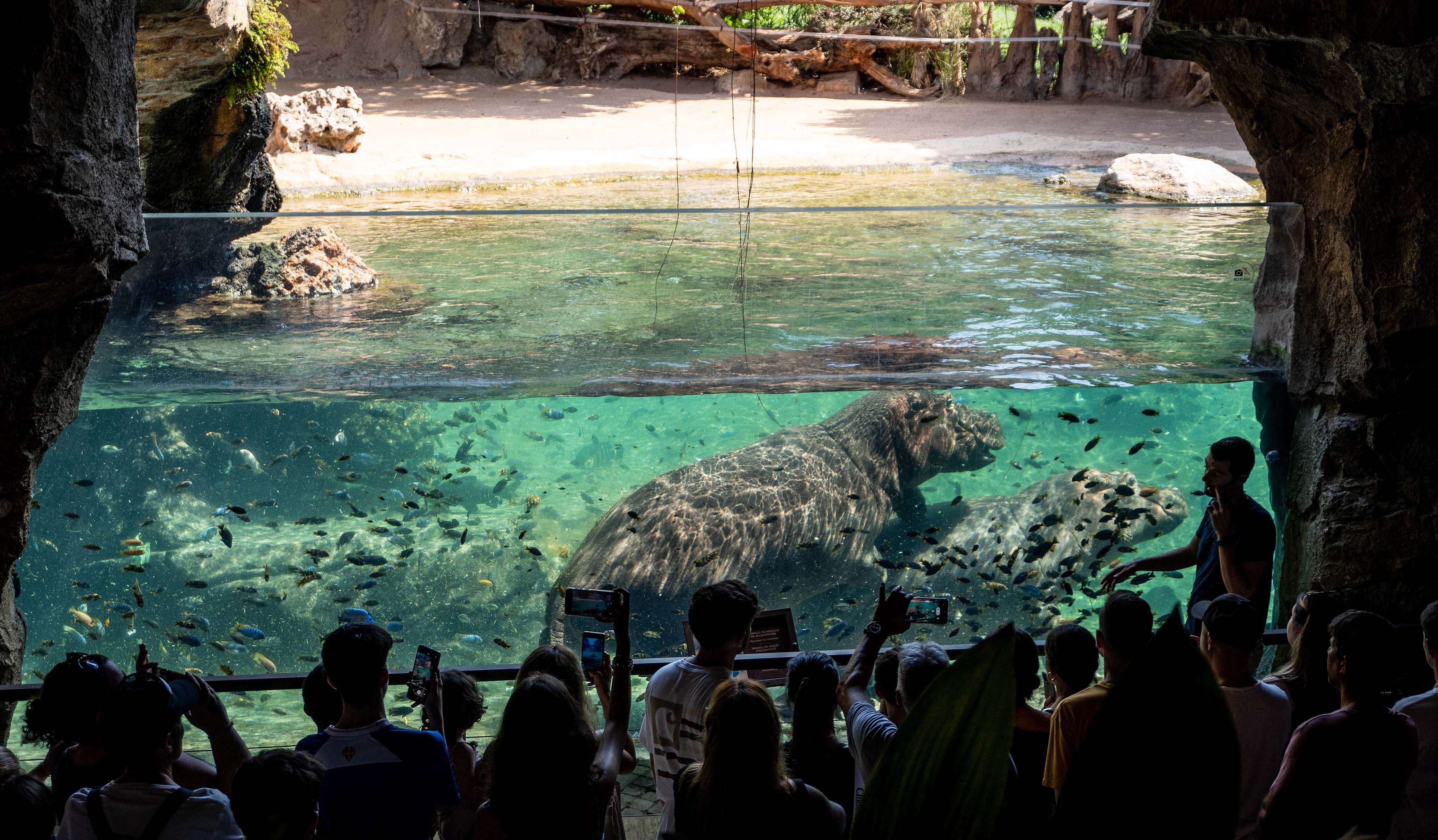 Ven a Bioparc a València esta Semana Santa