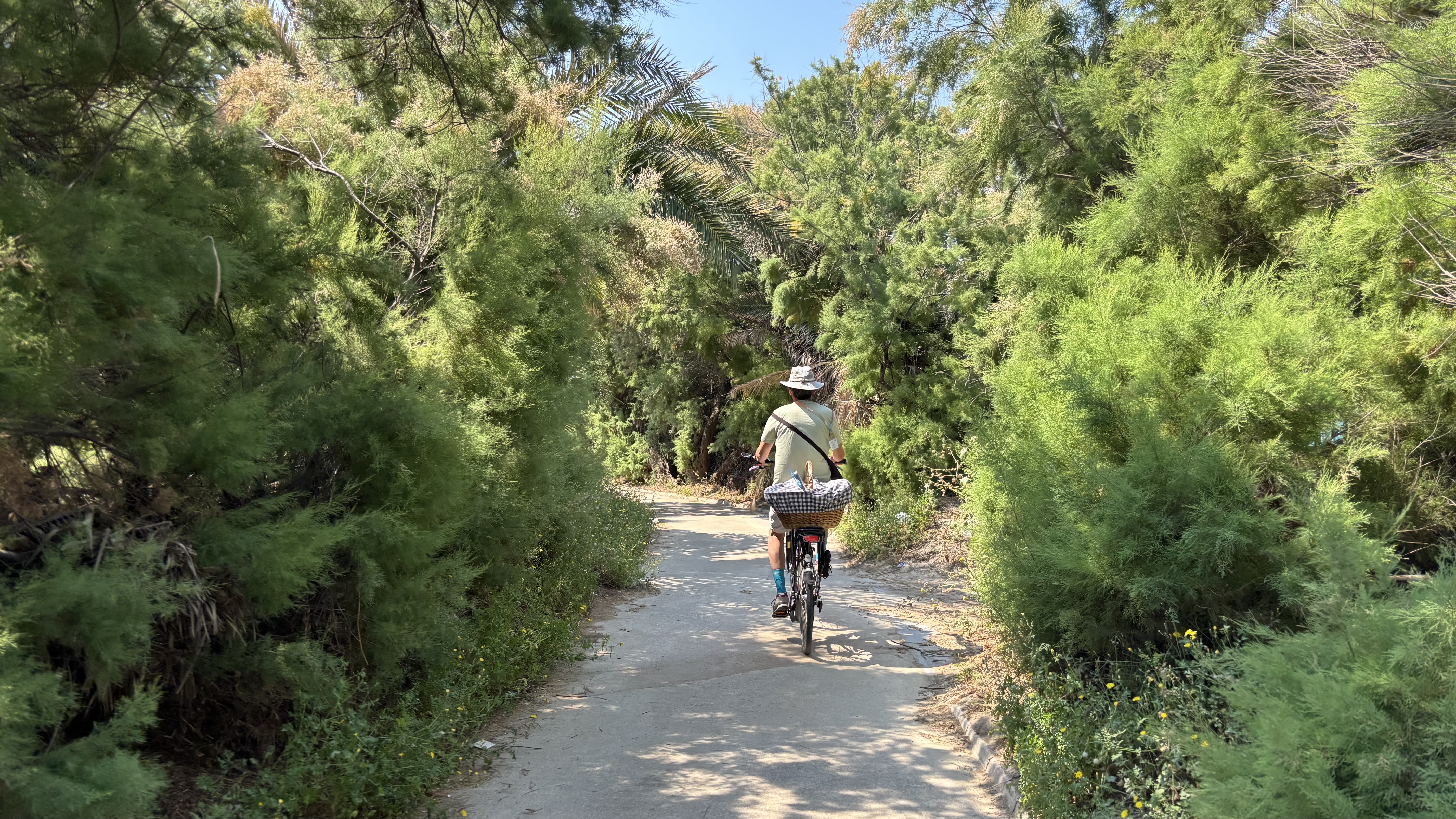 Ruta en bici albufera