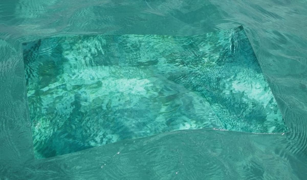 Territorios en Tránsito: ciclo de diálogos artísticos en València