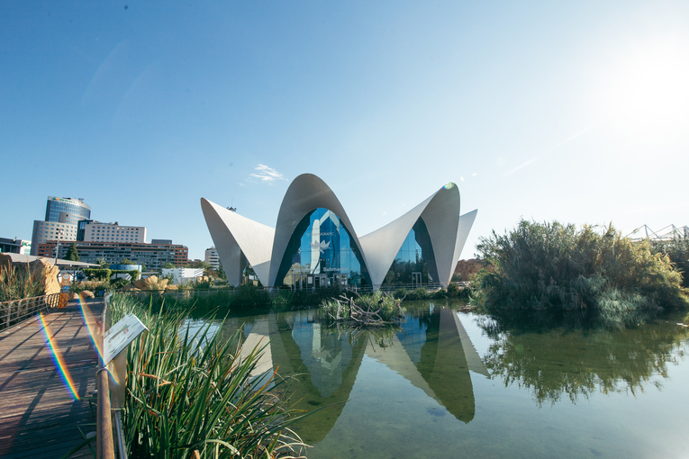 Oceanografic Valencia
