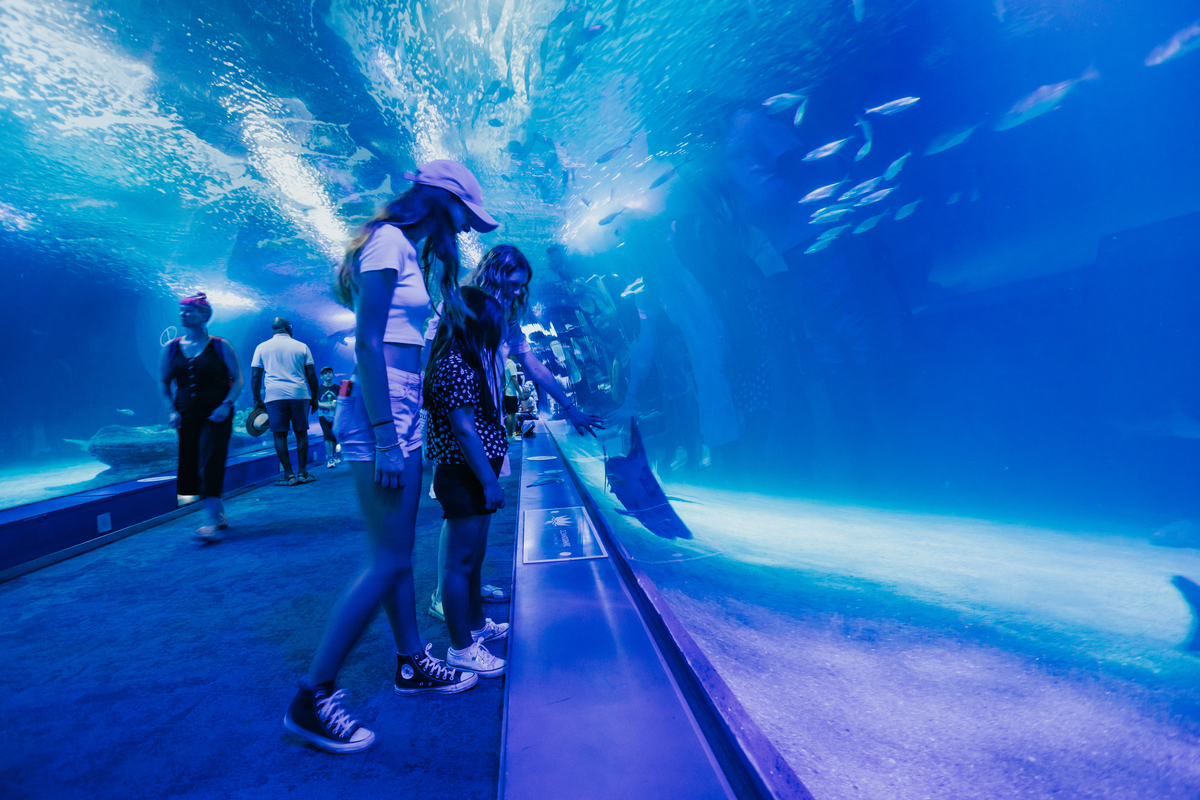 oceanografic