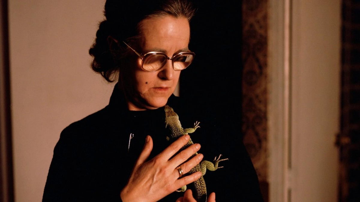 Disfruta del mejor cine mediterráneo en «Mostra de València 2025»