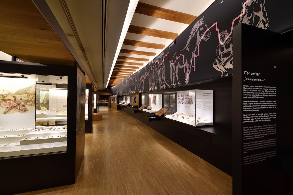 Muestra de realidad virtual «La cueva de Lascaux» 