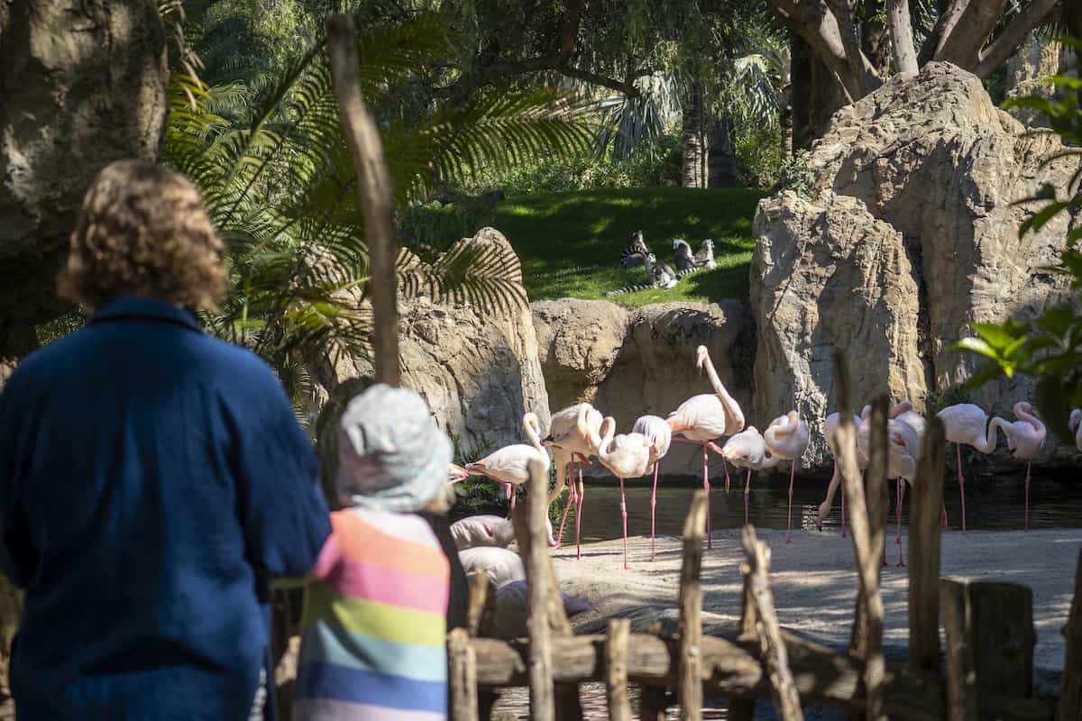 Promoción «BIOnadal» en BIOPARC València 