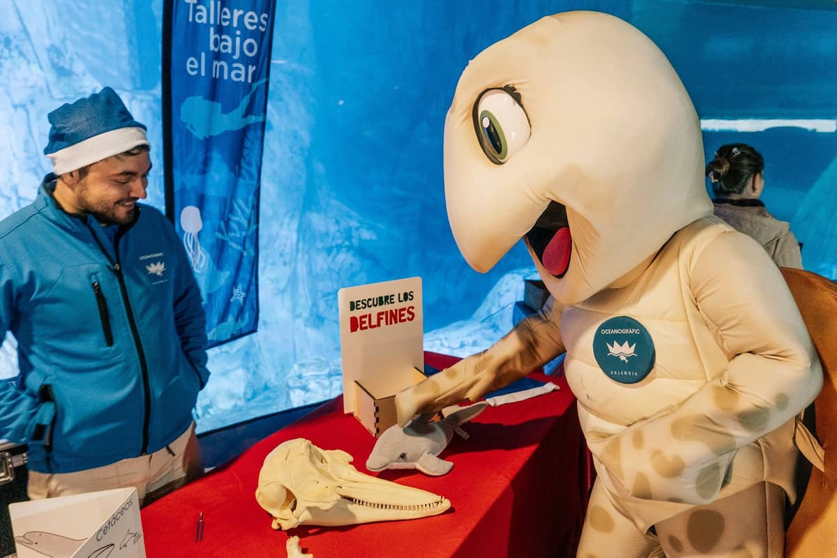 «Navidad bajo el mar» en el Oceanogràfic de València