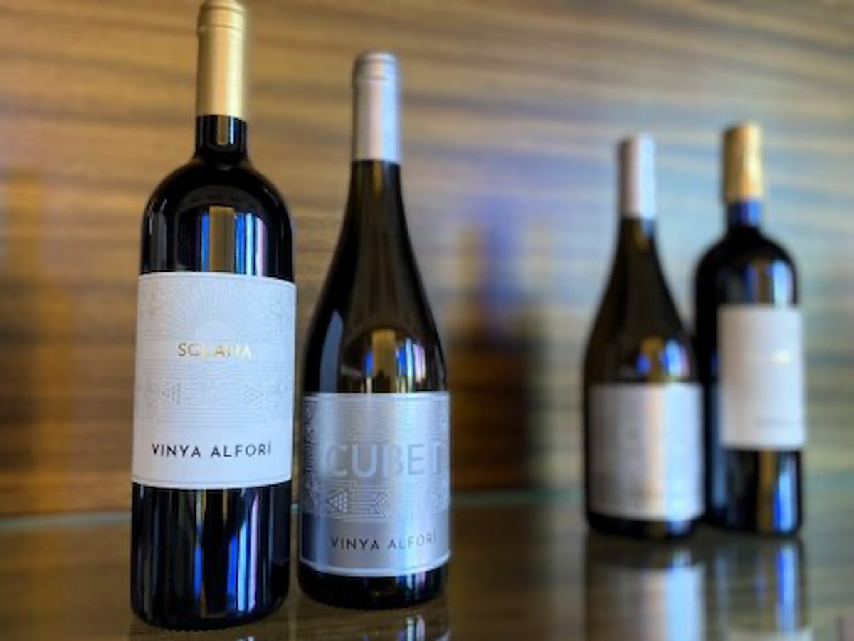 Cata de vinos en el Casino Cirsa de València