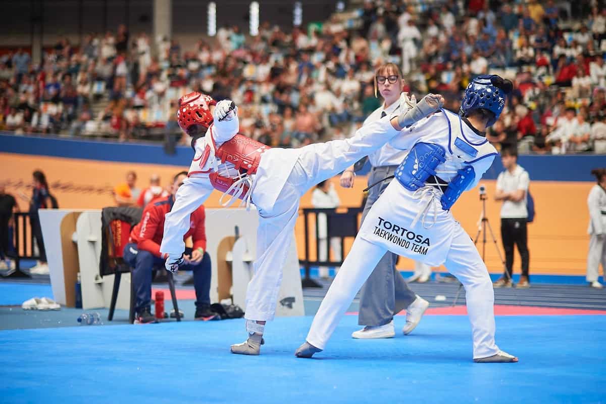 XIII Open Internacional de Taekwondo en València 