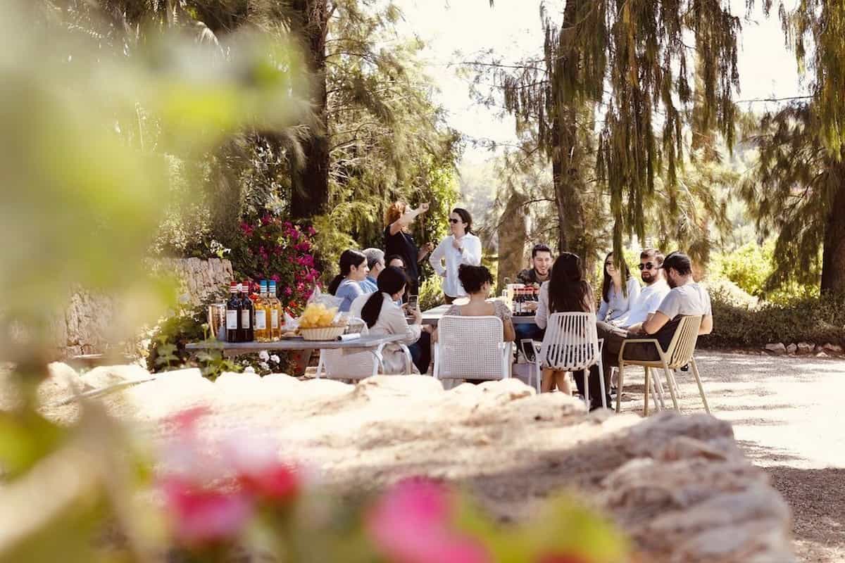 Taller de vermouth y visita guiada a Huerto Ribera en València