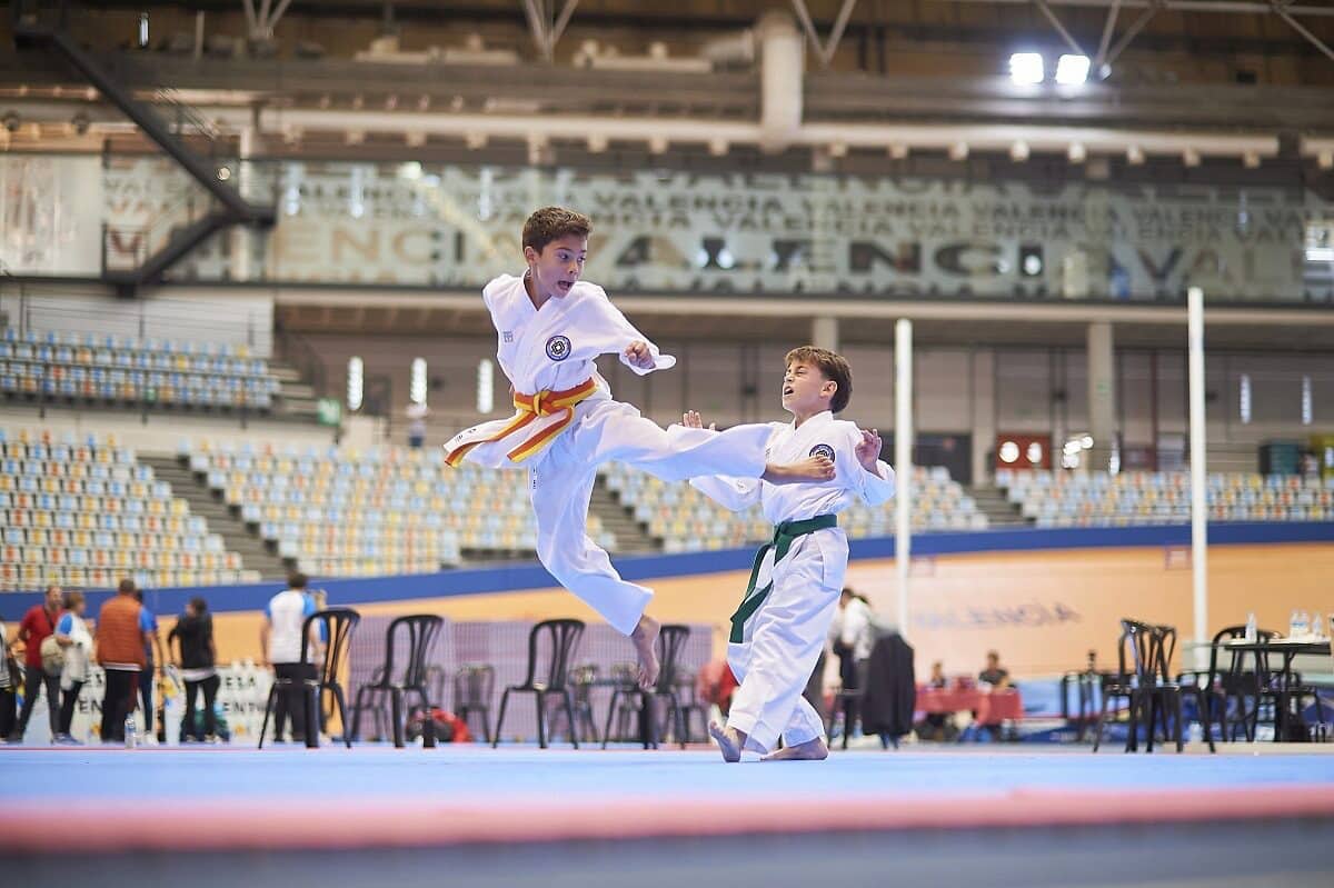 XIII Open Internacional de Taekwondo en València 