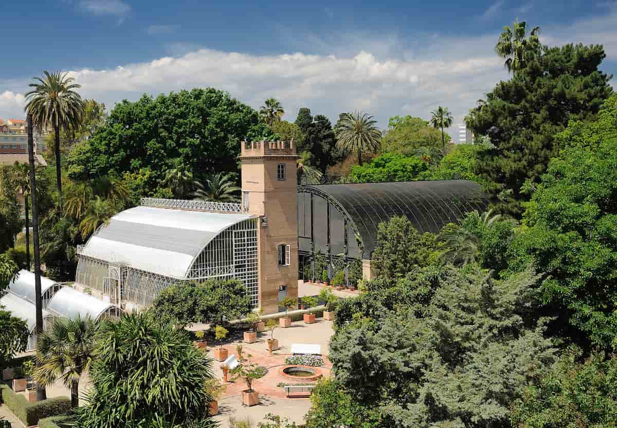 Visita totalmente gratis el Jardí Botànic de València