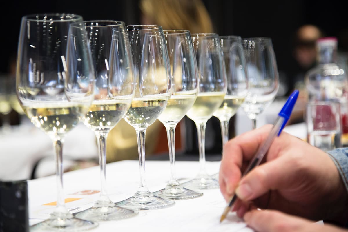 Experiencia Verema: el gran encuentro del vino en València