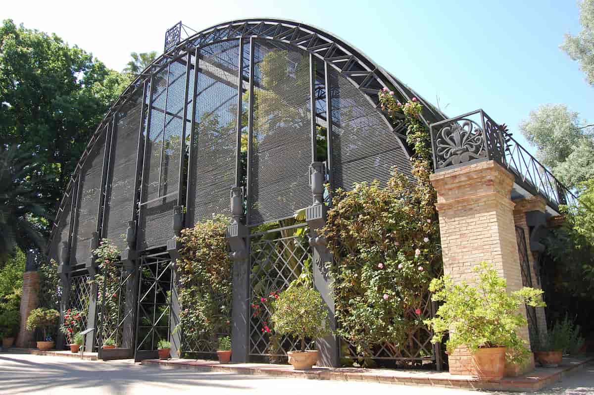 Visitas guiadas por el Jardín Botánico de València
