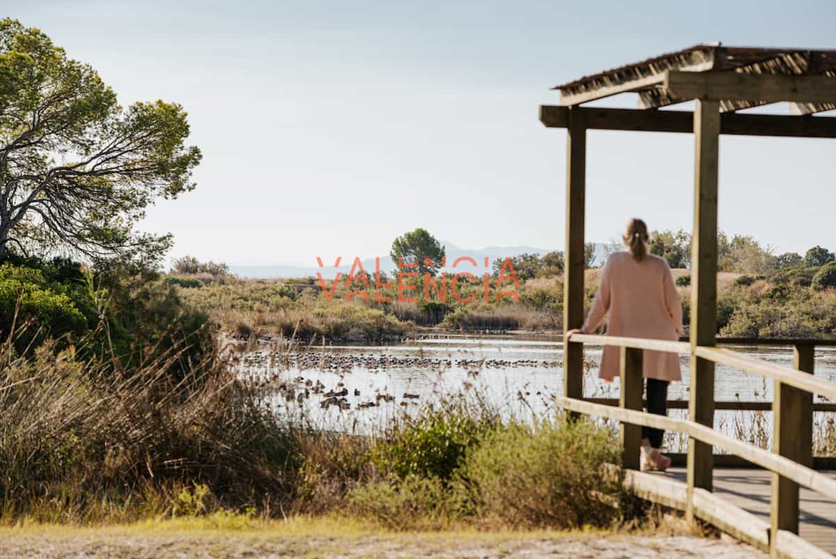 Reapertura de la reserva natural Tancat de la Pipa en València
