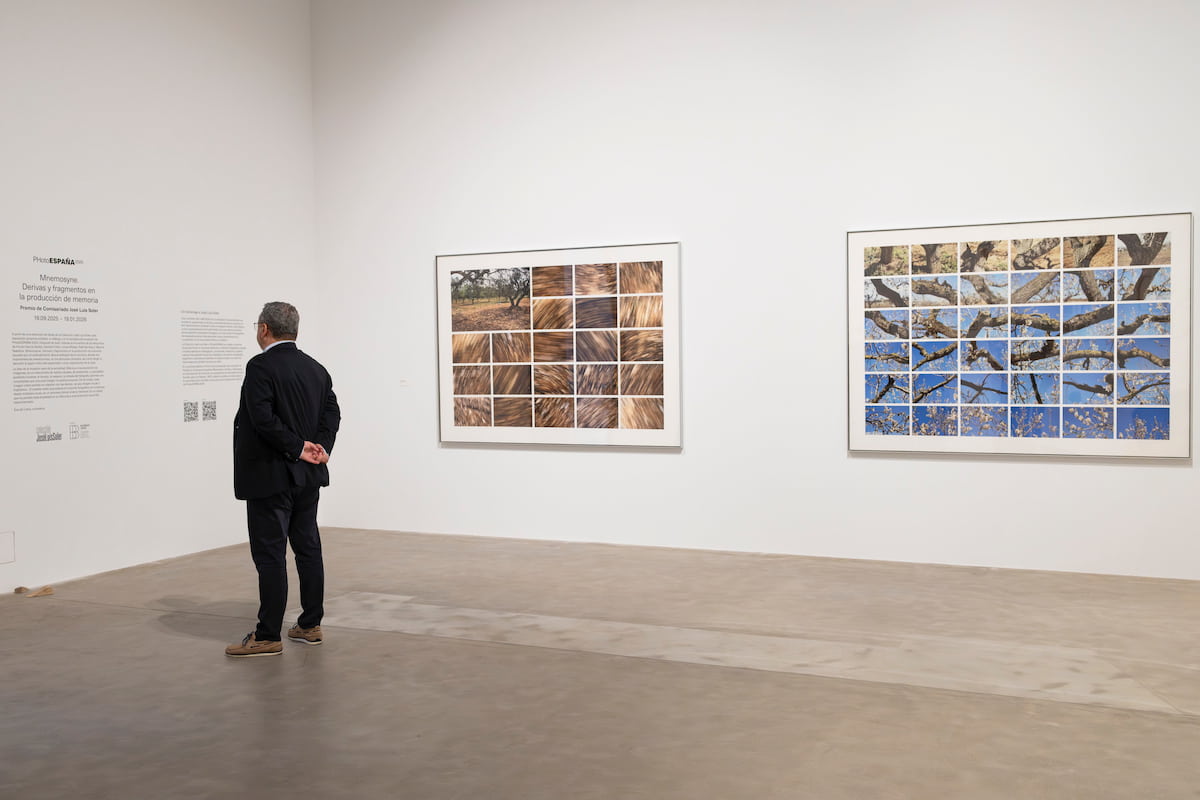 Exposición «Mnemosyne» en València