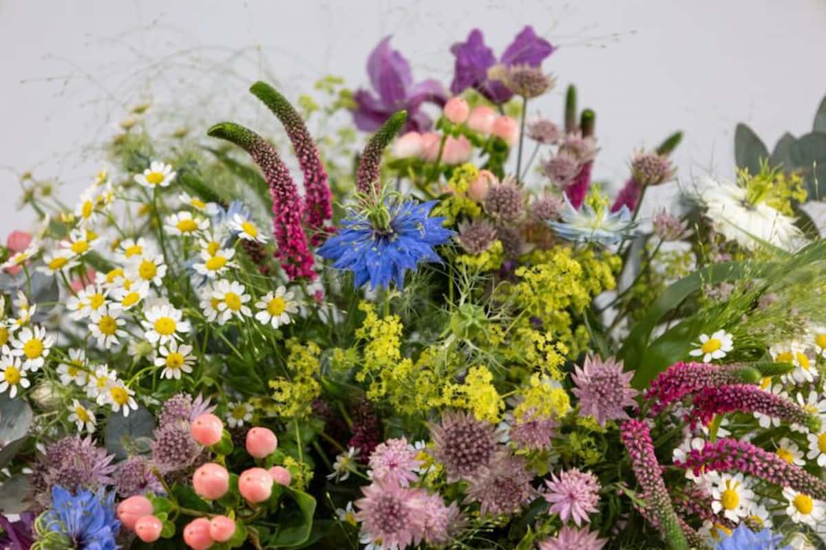 Copa de España de Arte Floral en València