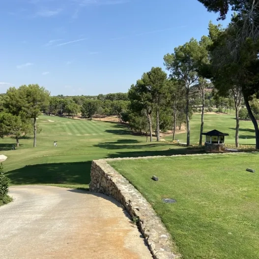 Camps d'entrenament accessibles, connectats entre si per camins accessibles amb buggy, cadira de rodes o a peu.