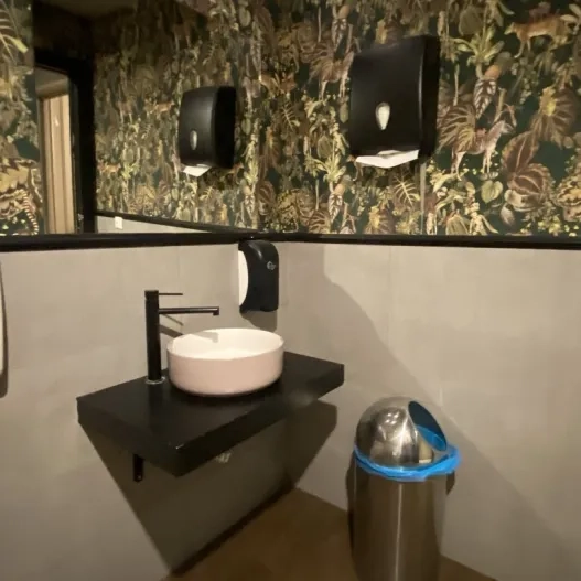 Accessible sink with appropriate height in common adapted bathrooms.