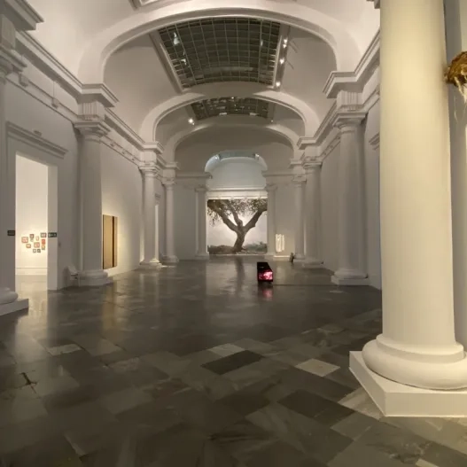 Salas expositivas accesibles con suficiente espacio para deambular a lo largo de las salas y una correcta iluminación.