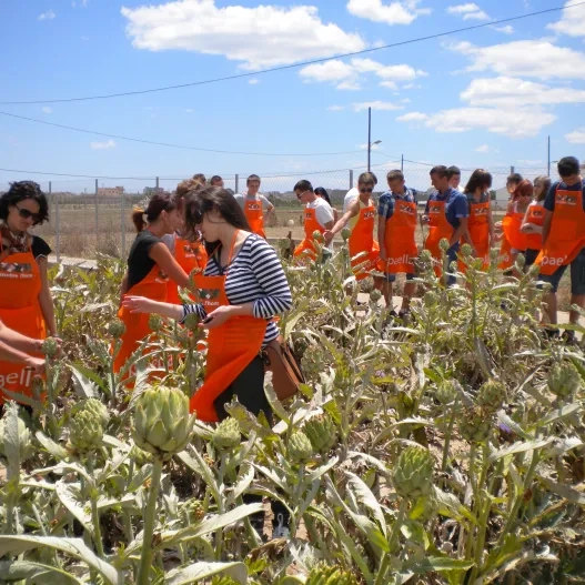 grupo durante la visita guiada descubre l'horta