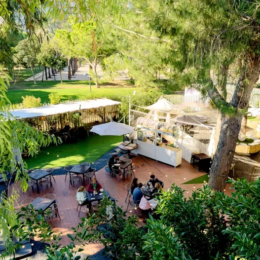 Jardines del Palau
