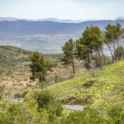 Ciclismo Carretera Valencia