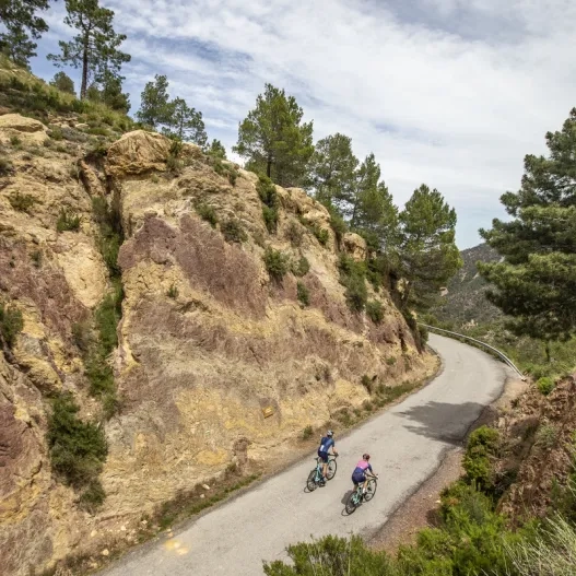 Ciclismo Carretera Valencia