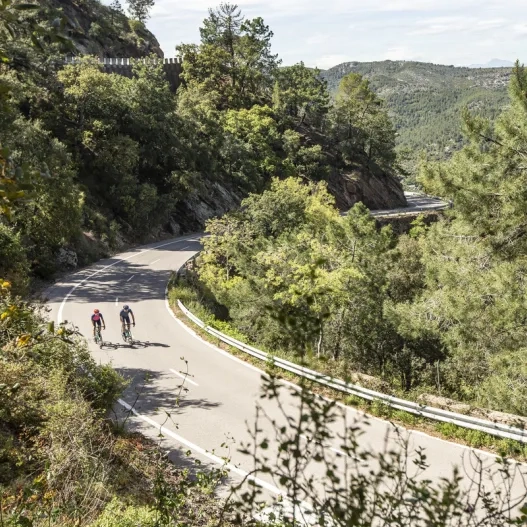 Ciclismo Carretera Valencia