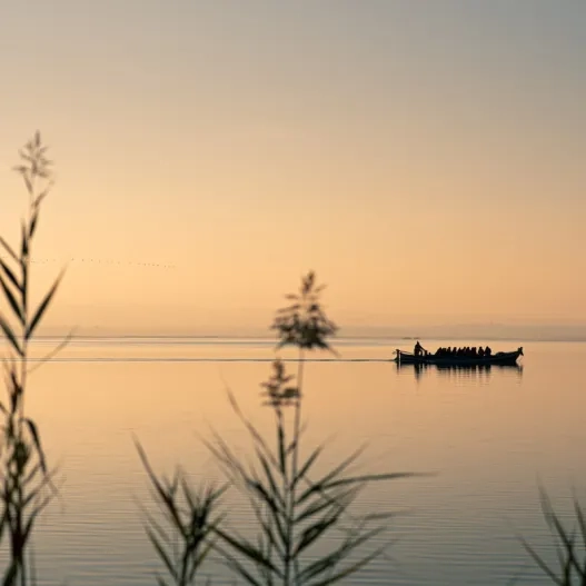 Albufera El Palmar