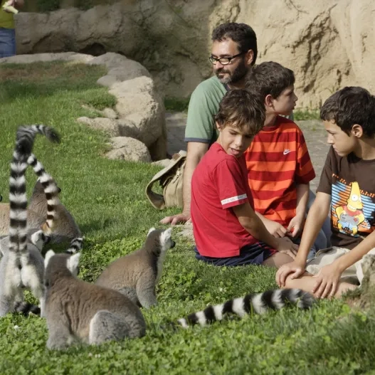 Bioparc Valencia