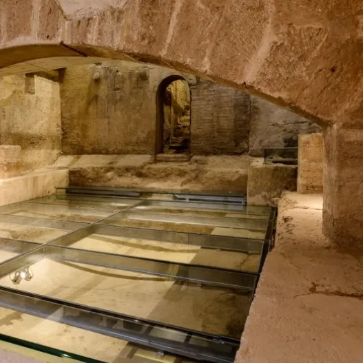 Celler Proava