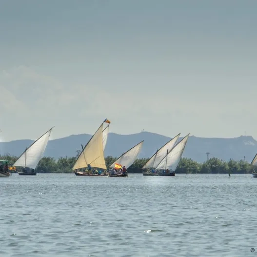 Exhibiciones de vela latina en l’Albufera de València 