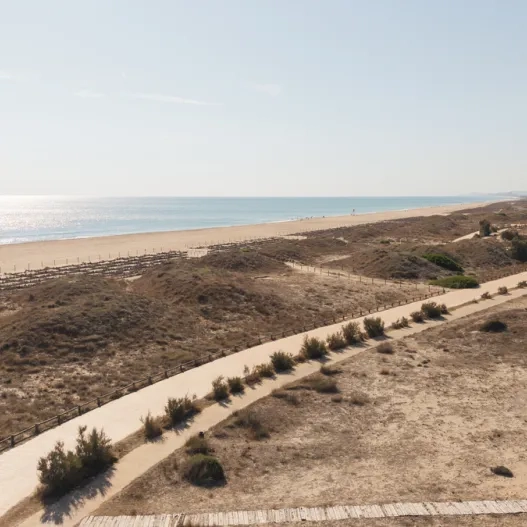 La Devesa de EL Saler Valencia