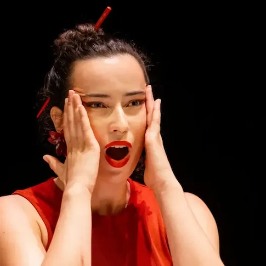 Espectáculos de ópera en el Palau de les Arts de València