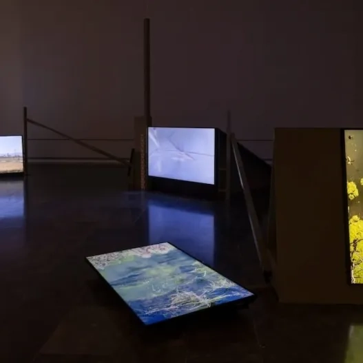 Exposición «La Albufera» en València