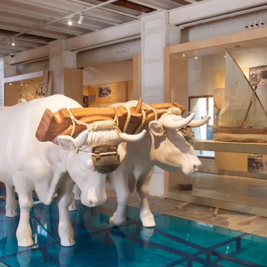 Museo de la mar