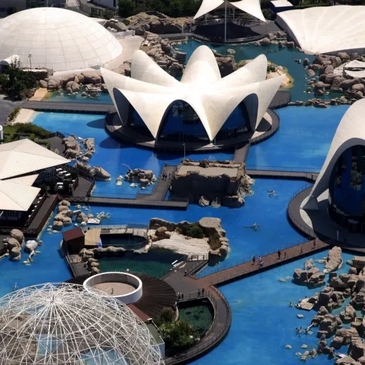 Oceanografic en Valencia