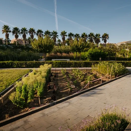 Parque Central Valencia