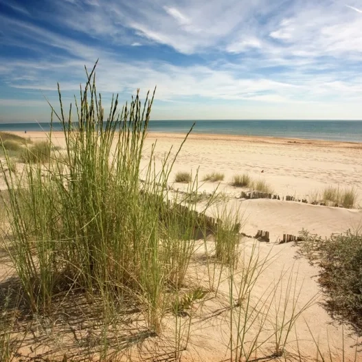 Playa el saler albufera 