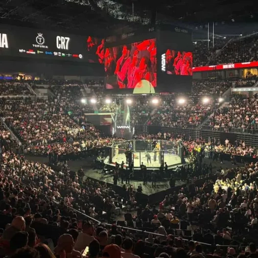 Disfruta de MMA con «WOW FC 34» en Roig Arena
